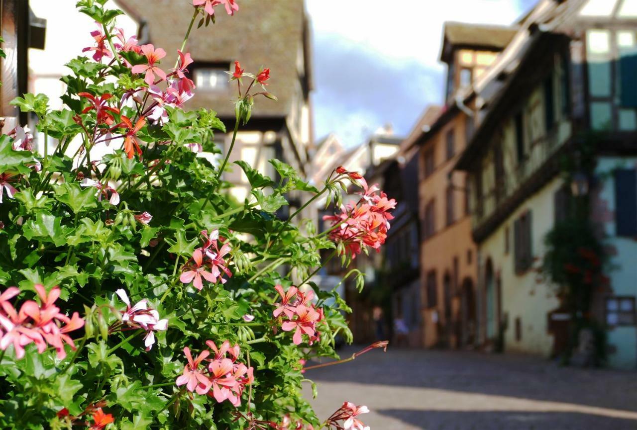 Gite L'Agape Riquewihr Bagian luar foto